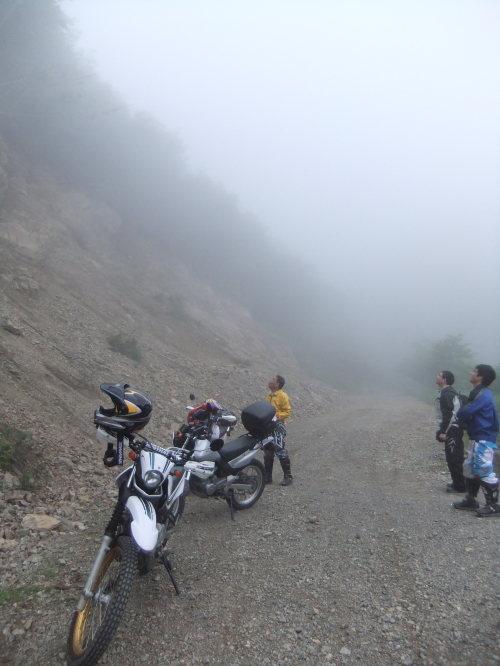 d0179983_7335738.jpg