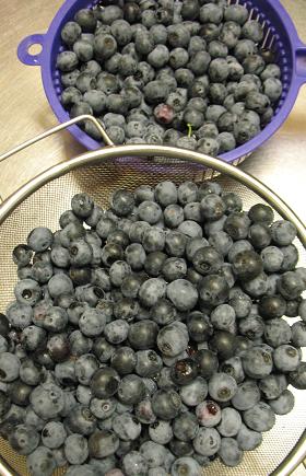 e0130185_11305536.jpg