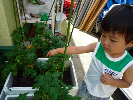e0123286_2011793.jpg