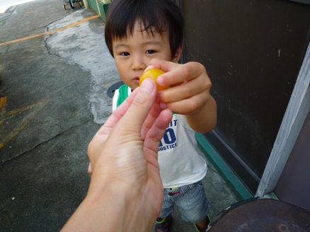 e0123286_2014390.jpg