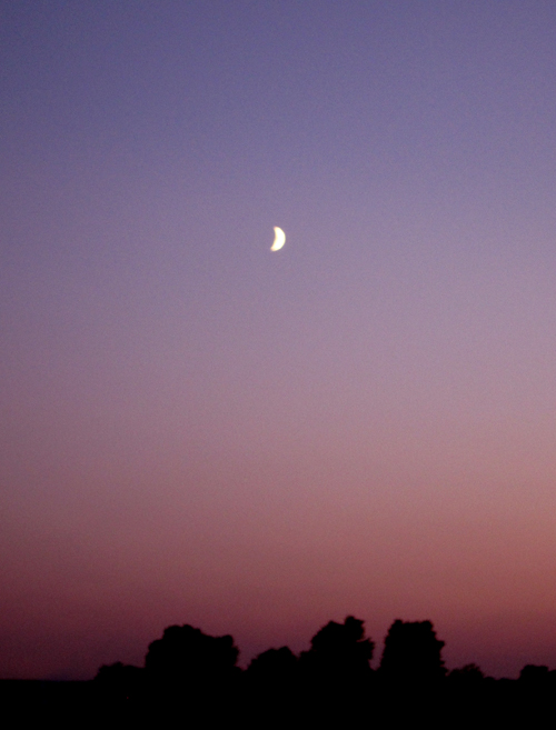 b0228988_023778.jpg