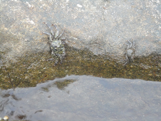 f0131491_17452168.jpg
