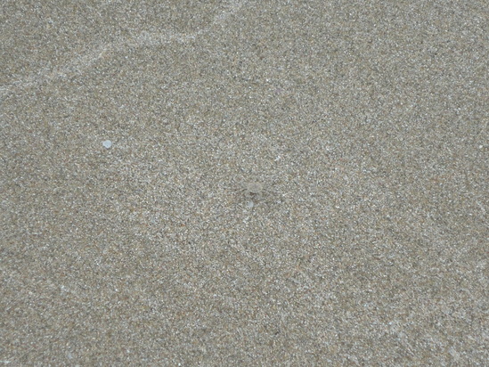 f0131491_1745965.jpg