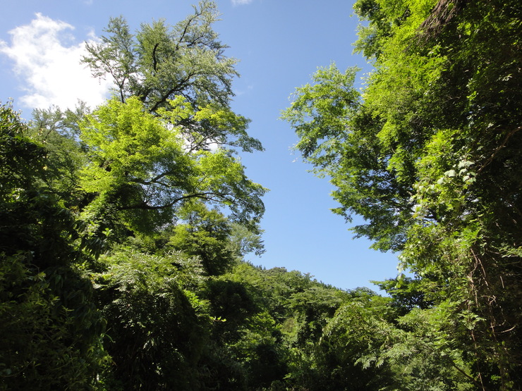 f0141392_7424323.jpg