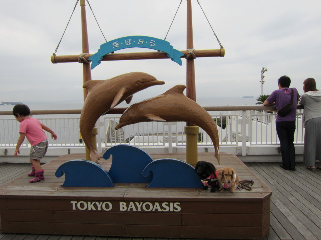 d0098295_23325990.jpg