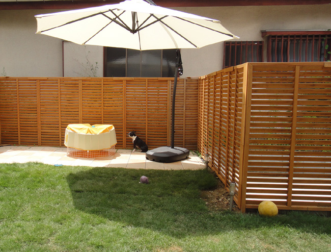 c0094999_1315249.jpg