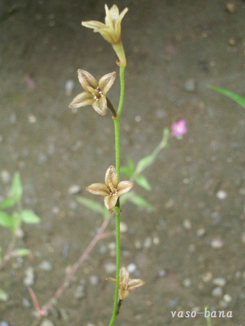 e0025300_13392328.jpg