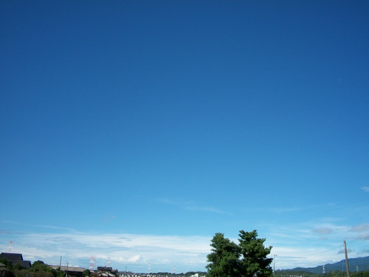 d0168003_15181080.jpg