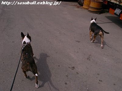 e0145805_200362.jpg