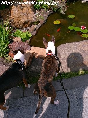 e0145805_20101157.jpg