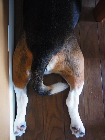 c0205806_9281422.jpg