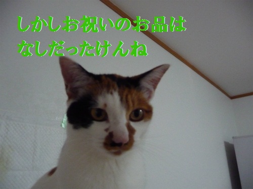 e0072606_1430553.jpg