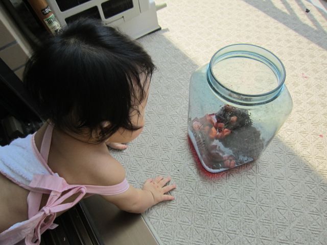 f0159406_15554058.jpg