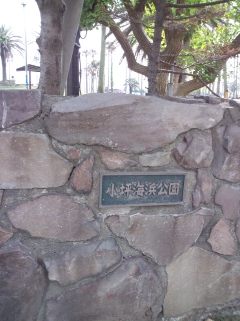e0246708_2064235.jpg
