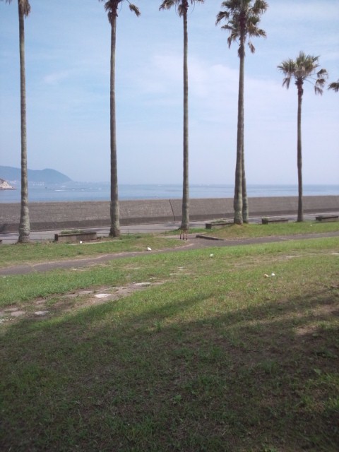 e0246708_2084719.jpg