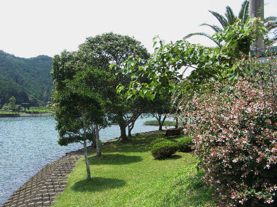 d0154609_10225547.jpg