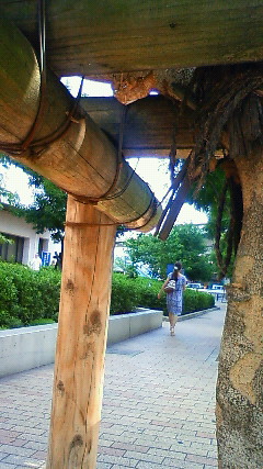 c0062511_1649849.jpg