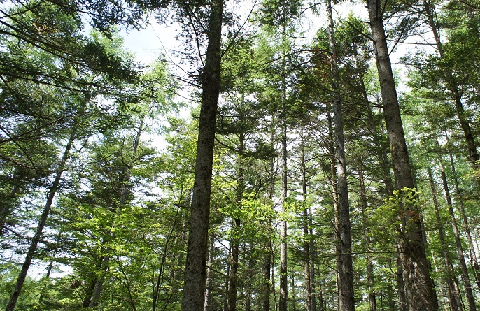 e0201021_21585464.jpg
