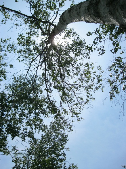 e0201021_22325256.jpg