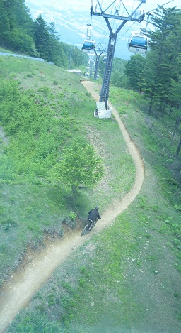 e0201021_22334974.jpg