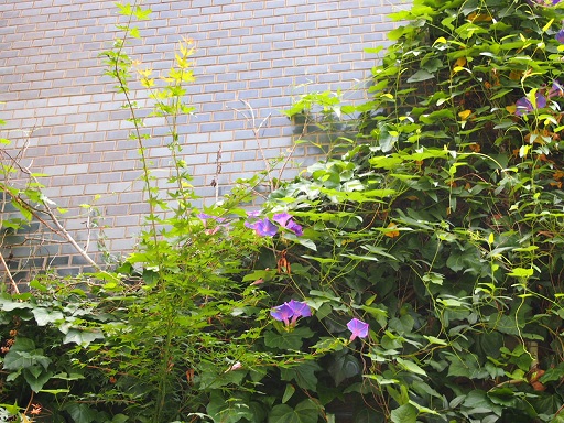 f0231829_1242571.jpg