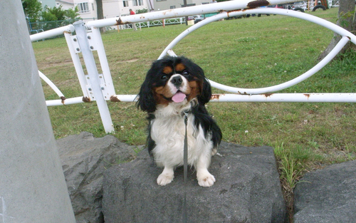 c0051132_21344419.jpg