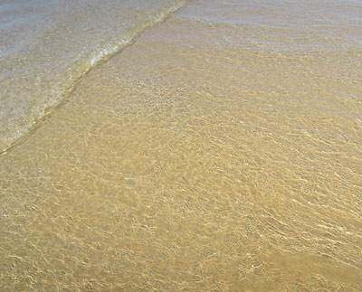 c0077533_747847.jpg