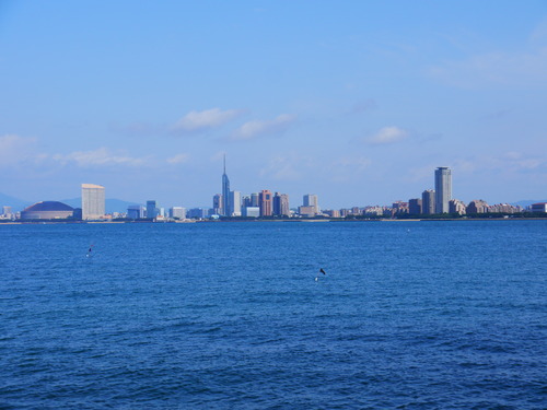 e0133535_13182894.jpg