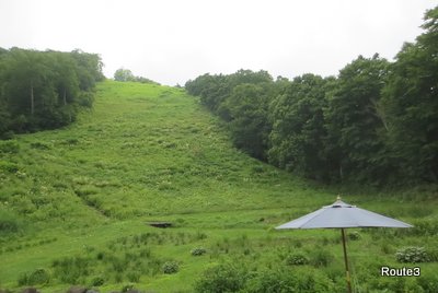 a0142343_1014395.jpg
