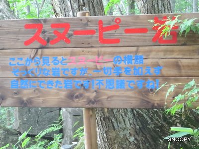 a0142343_1017248.jpg