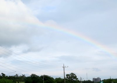 a0142343_10403172.jpg