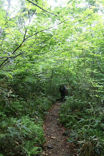 f0214649_1581296.jpg