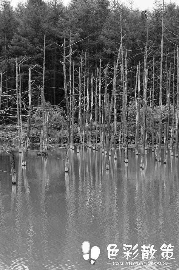 c0199552_1114130.jpg