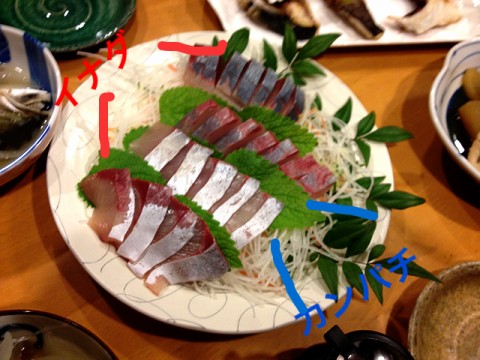 a0056654_1713169.jpg