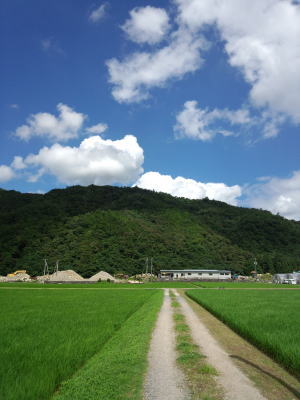 d0151154_22111276.jpg