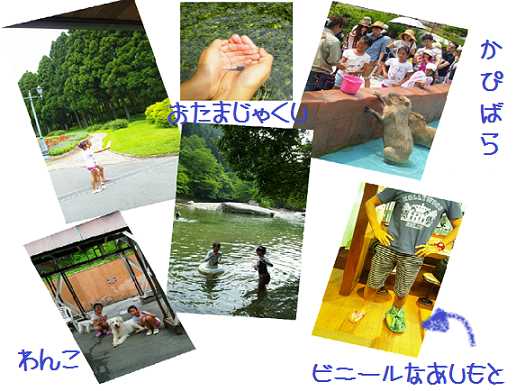 e0074954_16103178.png
