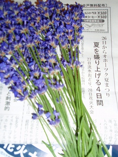 e0004756_2018459.jpg