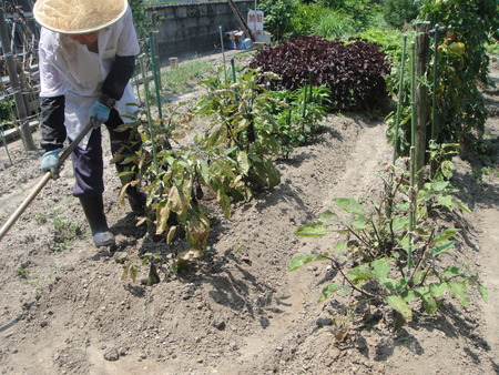 c0108460_1537124.jpg