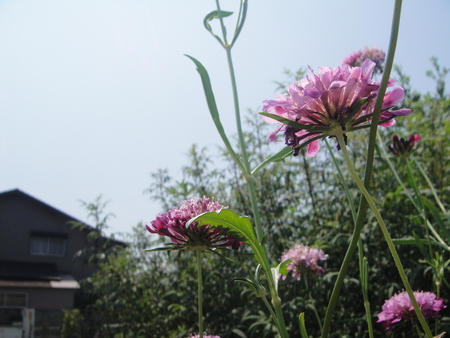 c0108460_15513632.jpg