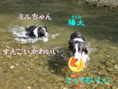 b0158061_2149180.jpg
