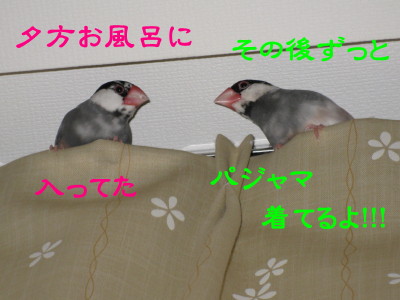 b0158061_21492451.jpg