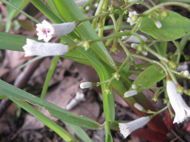 b0267163_8415558.jpg