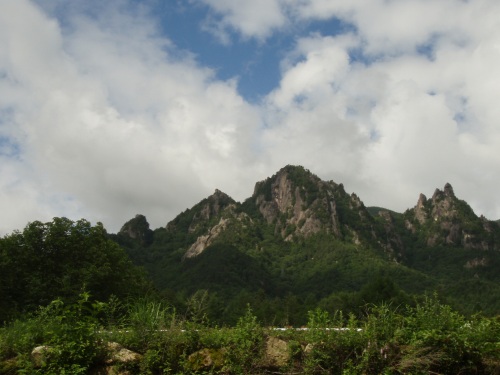 b0050067_6435154.jpg