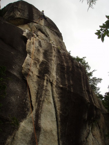 b0050067_6482691.jpg