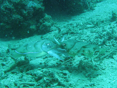 b0033573_1738466.jpg