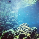 d0039085_23204428.jpg