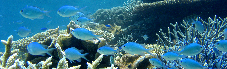 a0131787_15495644.jpg