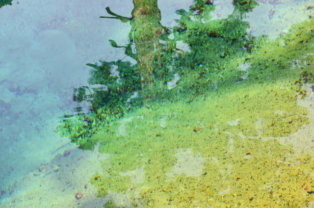 b0198195_16592865.jpg
