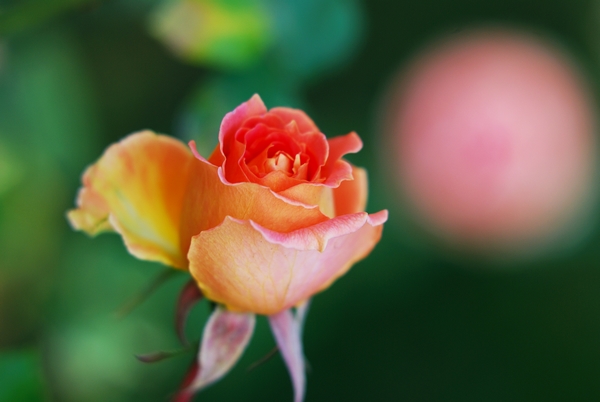 f0201297_8514767.jpg