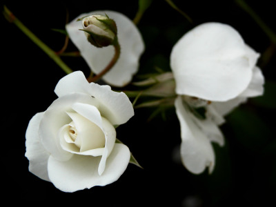 f0201297_9431063.jpg